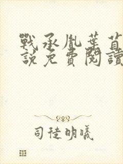 战承胤叶苜苜小说免费阅读