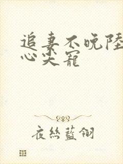 追妻不晚陆少的心尖宠封面