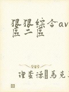 狠狠综合av一区二区