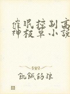 催眠控制高冷男神校草小说