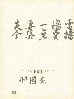 夫妻一场电视剧全集免费播放