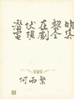 潜伏在黎明之前电视剧全集剧情封面