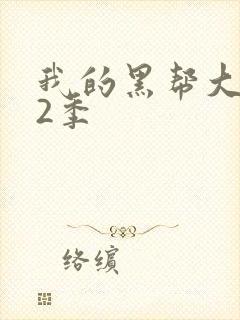 我的黑帮大佬第2季