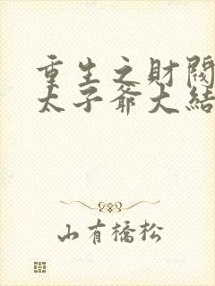 重生之财阀家的太子爷大结局封面