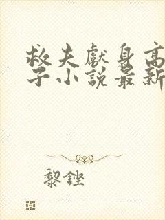 救夫献身高官之子小说最新章节列表封面