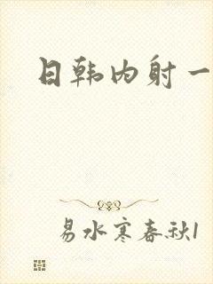 日韩内射一级片