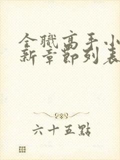 全职高手小说最新章节列表最