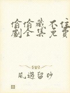 偷偷藏不住广播剧全集免费听完整