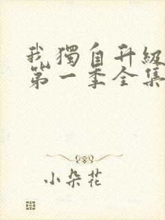 我独自升级动漫第一季全集免费观看