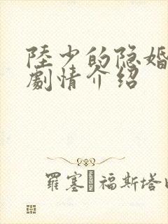 陆少的隐婚罪妻剧情介绍