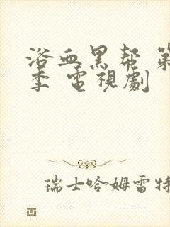 浴血黑帮 第四季 电视剧封面