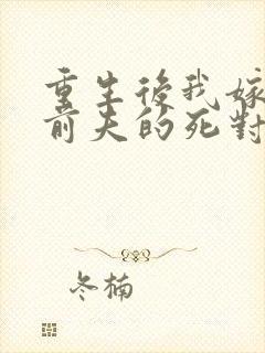 重生后我嫁给了前夫的死对头封面