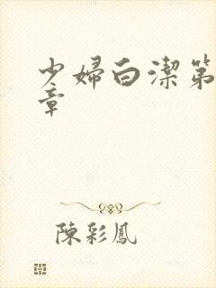 少妇白洁第27章封面