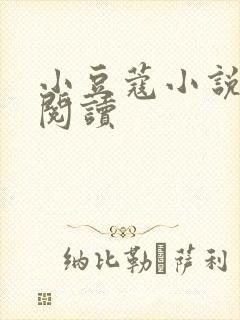 小豆蔻小说全文阅读