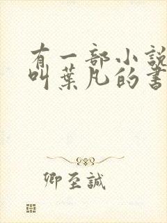 有一部小说主角叫叶凡的书名