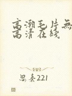 高潮毛片无遮挡高清在线