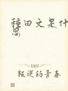 种田文是什么意思