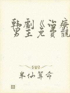 韩剧《治疗》双男主免费观看