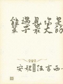 能遇见你是我这辈子最大的幸运封面