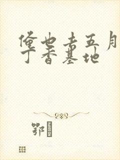 俺也去五月婷婷丁香基地