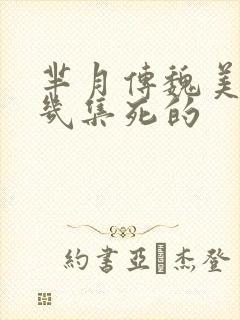 芈月传魏美人第几集死的封面