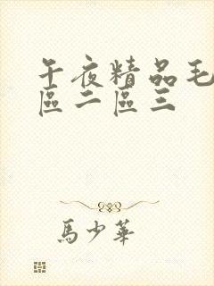 午夜精品毛片一区二区三