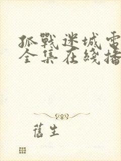 孤战迷城电视剧全集在线播放免费观看