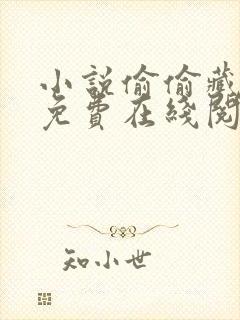 小说偷偷藏不住免费在线阅读