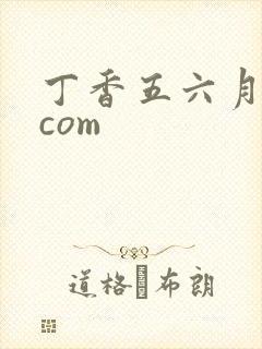 丁香五六月婷婷com