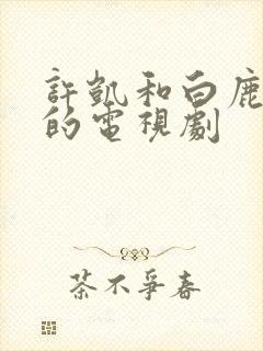 许凯和白鹿演过的电视剧