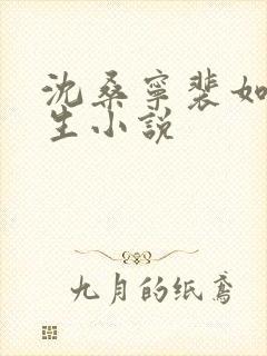 沈桑宁裴如衍重生小说