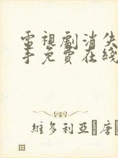 电视剧消失的凶手免费在线观看封面