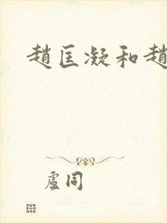 赵匡凝和赵匡胤封面