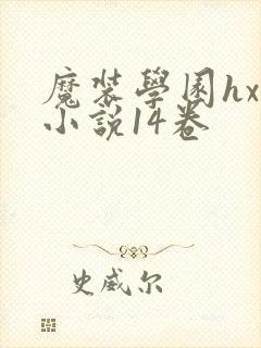 魔装学园hxh小说14卷封面
