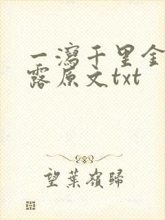 一泻千里金银花露原文txt