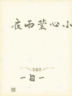 夜雨莹心小说