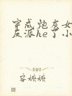 穿成炮灰女配和反派he了小说