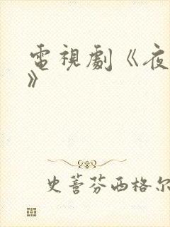 电视剧《夜城赋》封面