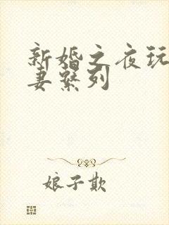 新婚之夜玩弄人妻系列封面