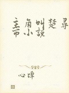 主角叫楚寻的都市小说