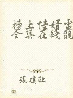 榜上佳婿电视剧全集在线观看免费