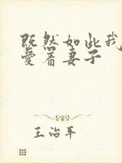 既然如此我还是爱着妻子封面