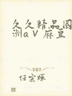 久久精品国产亚洲a∨麻豆