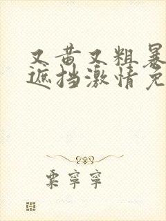 又黄又粗暴的无遮挡激情免费观看