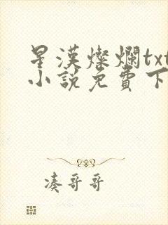 星汉灿烂txt小说免费下载