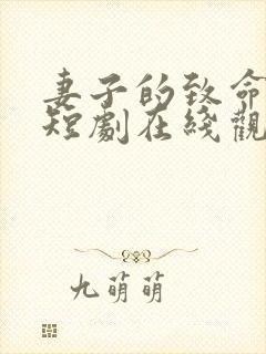 妻子的致命谎言短剧在线观看