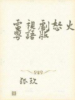 电视剧怒火街头粤语版