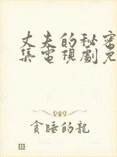 丈夫的秘密28集电视剧免费观看封面