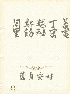 周斯越丁羡暗格里的秘密电视剧