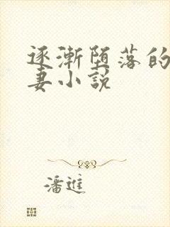 逐渐堕落的美人妻小说